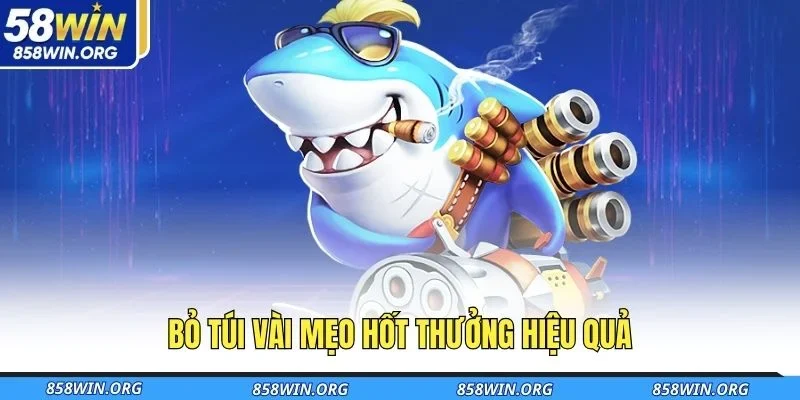 bo-tui-vai-meo-hot-thuong-hieu-qua