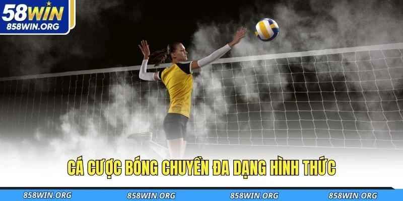 ca-cuoc-bong-chuyen-da-dang-hinh-thuc