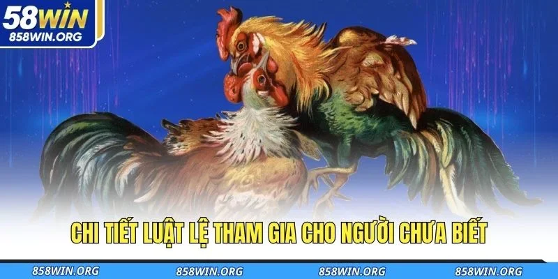 chi-tiet-luat-le-tham-gia-cho-nguoi-chua-biet