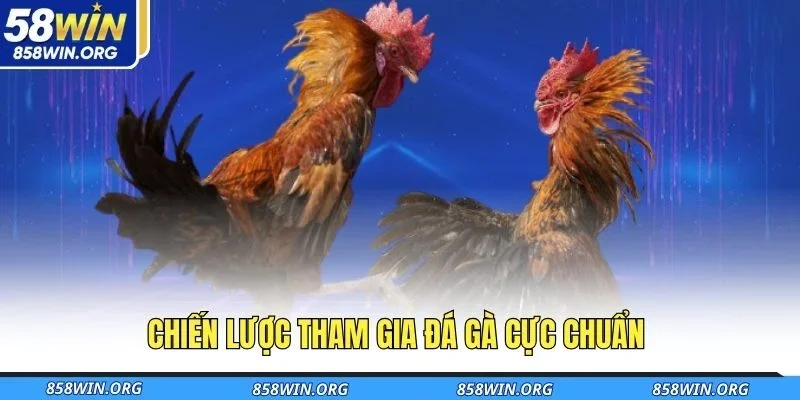 chien-luoc-tham-gia-da-ga-cuc-chuan