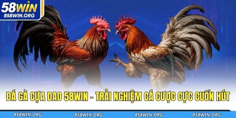 da-ga-cua-dao-58win-trai-nghiem-ca-cuoc-cuc-cuon-hut