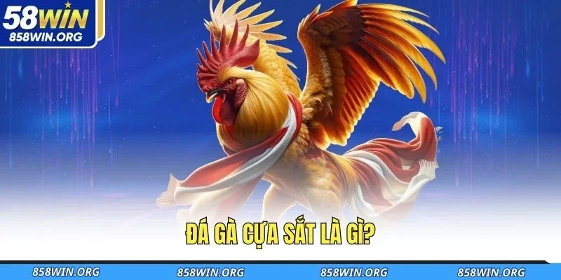 da-ga-cua-sat-la-gi