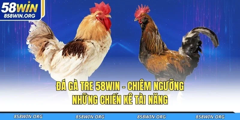da-ga-tre-58win-chiem-nguong-nhung-chien-ke-tai-nang
