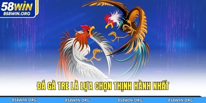 da-ga-tre-la-lua-chon-thinh-hanh-nhat