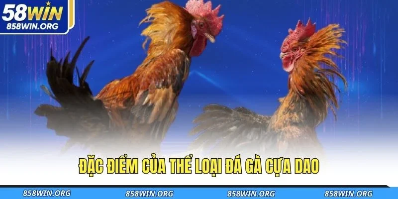 dac-diem-cua-the-loai-da-ga-cua-dao