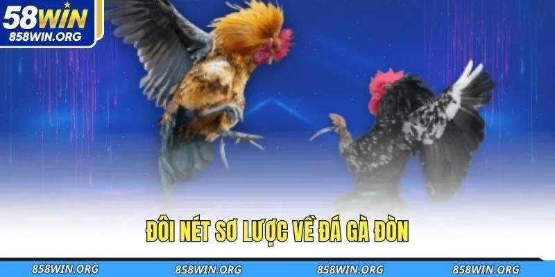 doi-net-so-luoc-ve-da-ga-don