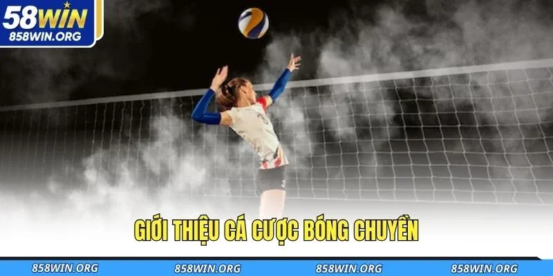 gioi-thieu-ca-cuoc-bong-chuyen