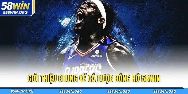 gioi-thieu-chung-ve-ca-cuoc-bong-ro-58win