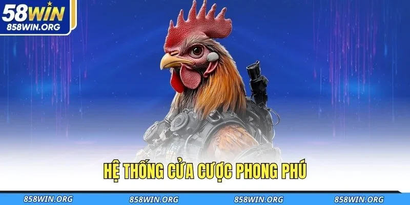 he-thong-cua-cuoc-phong-phu