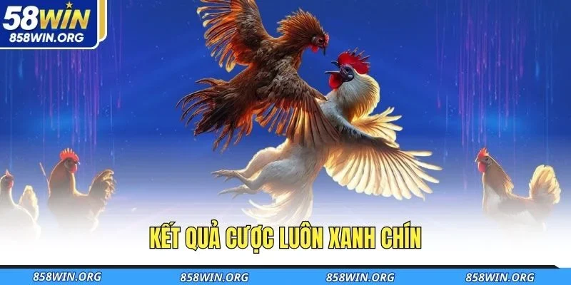ket-qua-cuoc-luon-xanh-chin