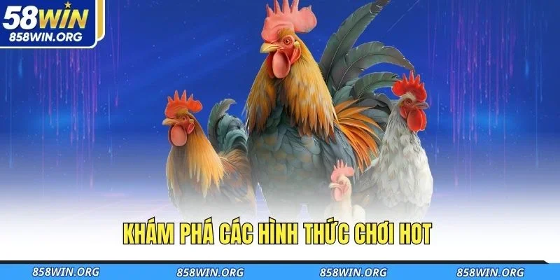 kham-pha-cac-hinh-thuc-choi-hot