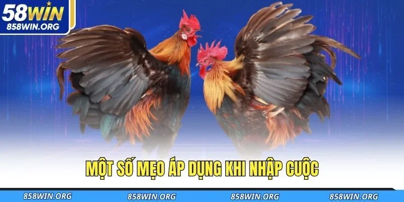 mot-so-meo-ap-dung-khi-nhap-cuoc