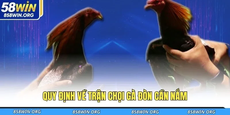 quy-dinh-ve-tran-choi-ga-don-can-nam