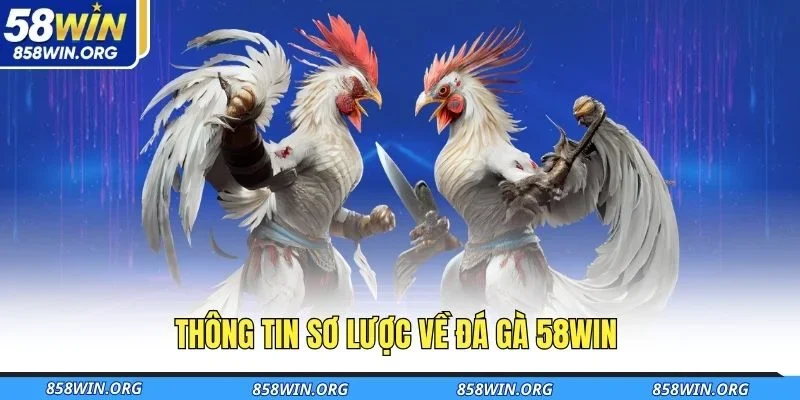 thong-tin-so-luoc-ve-da-ga-58win
