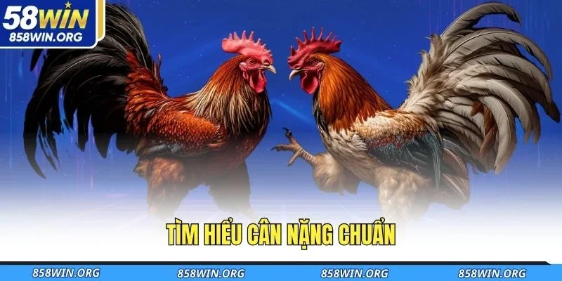 tim-hieu-can-nang-chuan