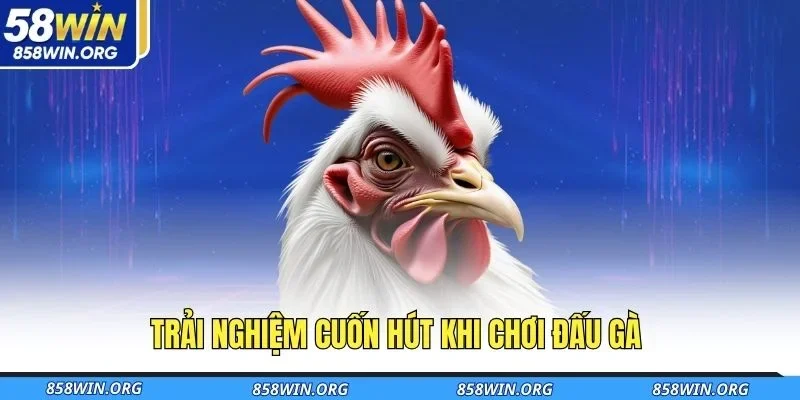 trai-nghiem-cuon-hut-khi-choi-dau-ga